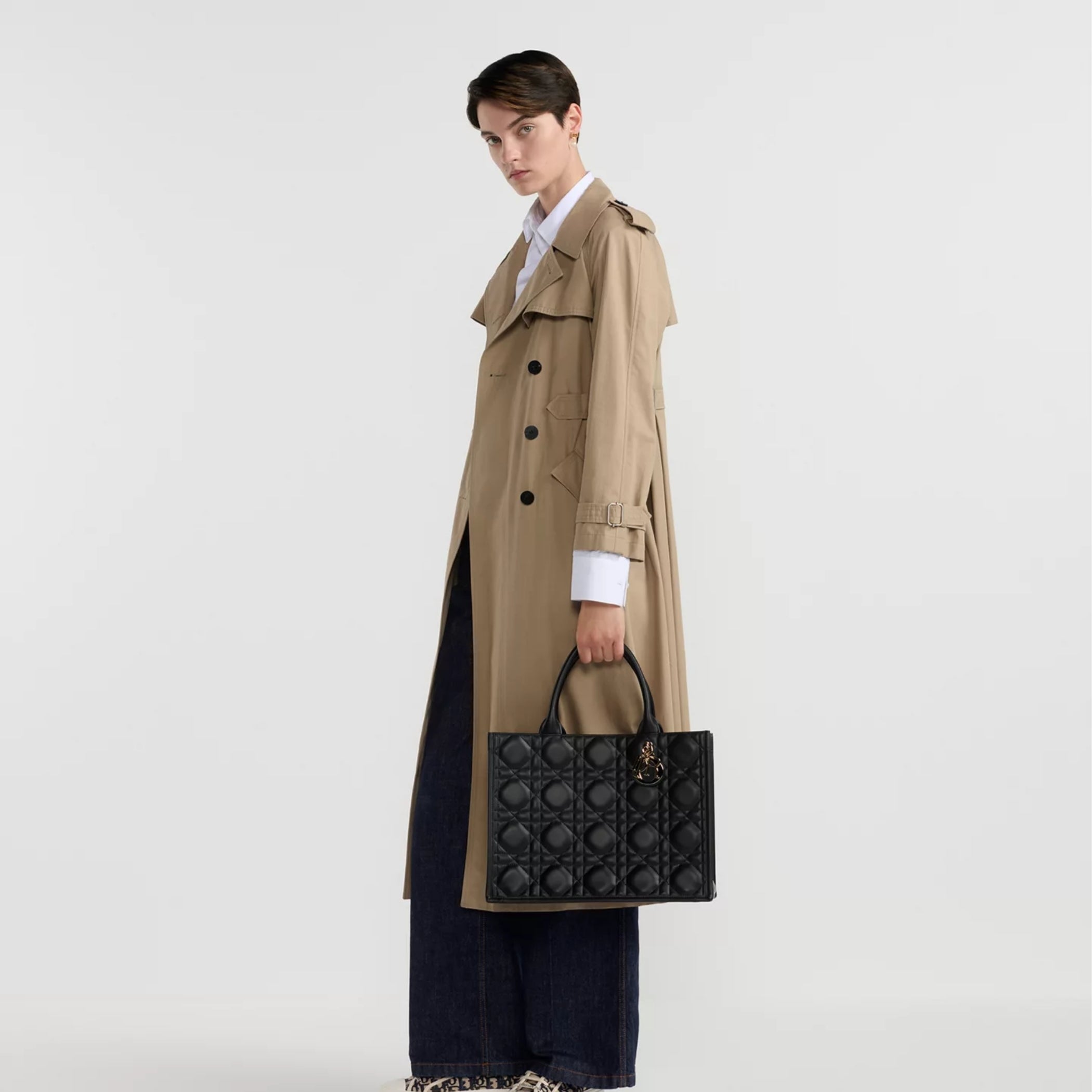 Medium Dior Book Tote