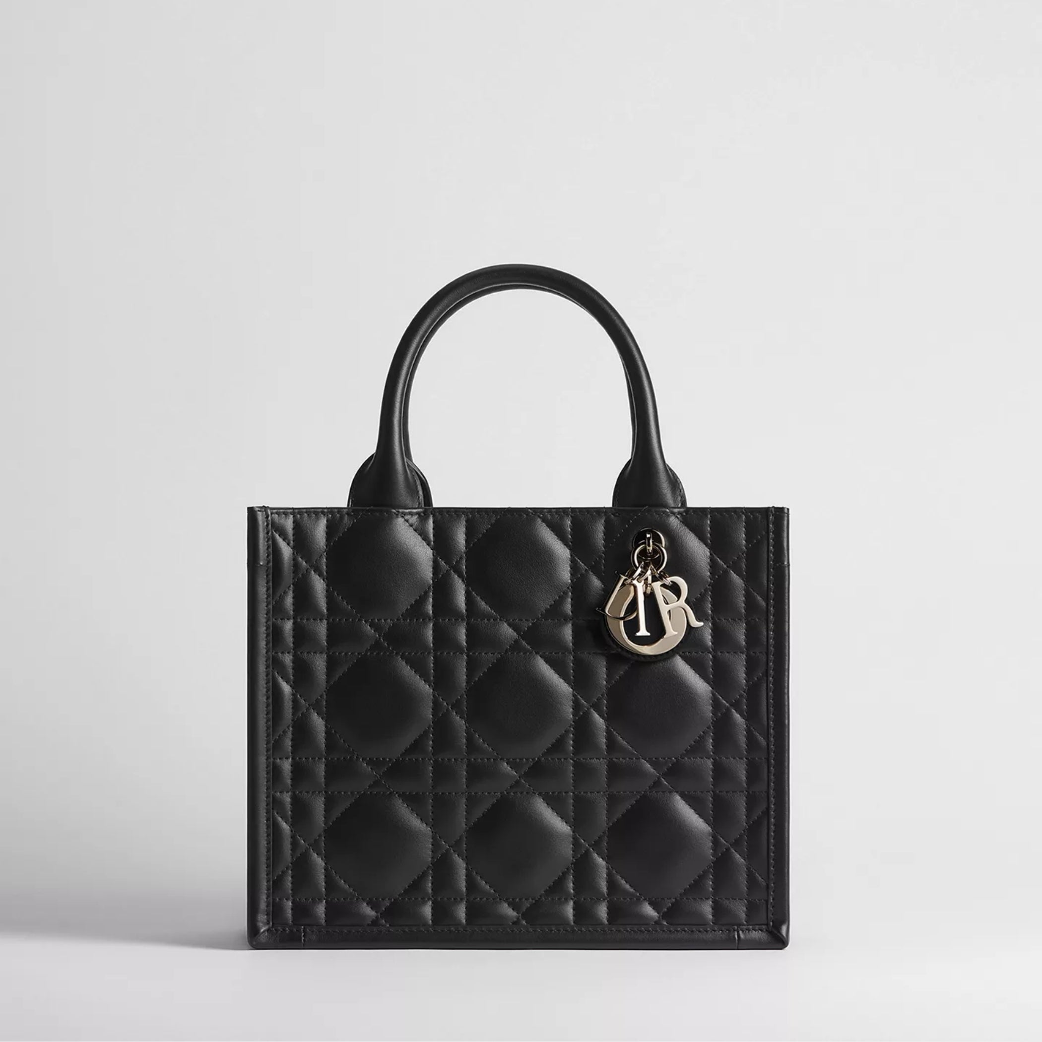 Small Dior Book Tote