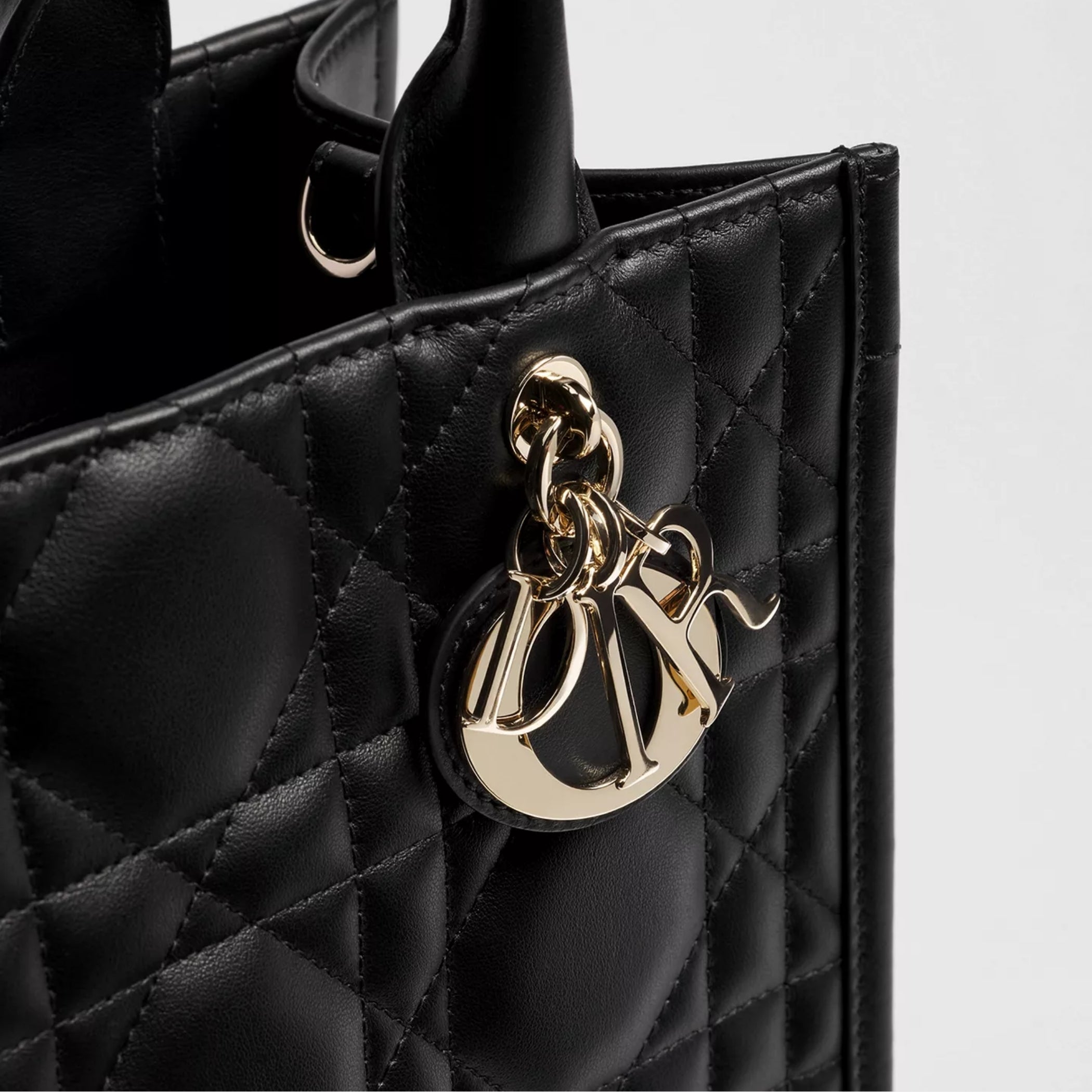 Small Dior Book Tote