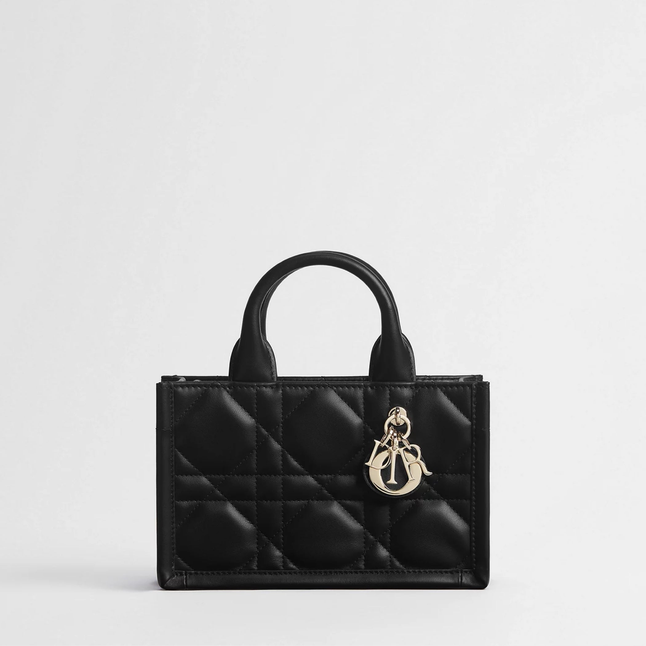 Mini Dior Book Tote