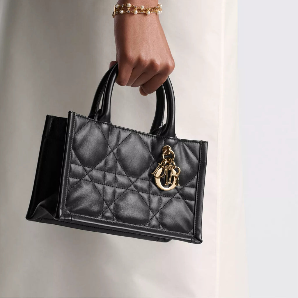 Mini Dior Book Tote