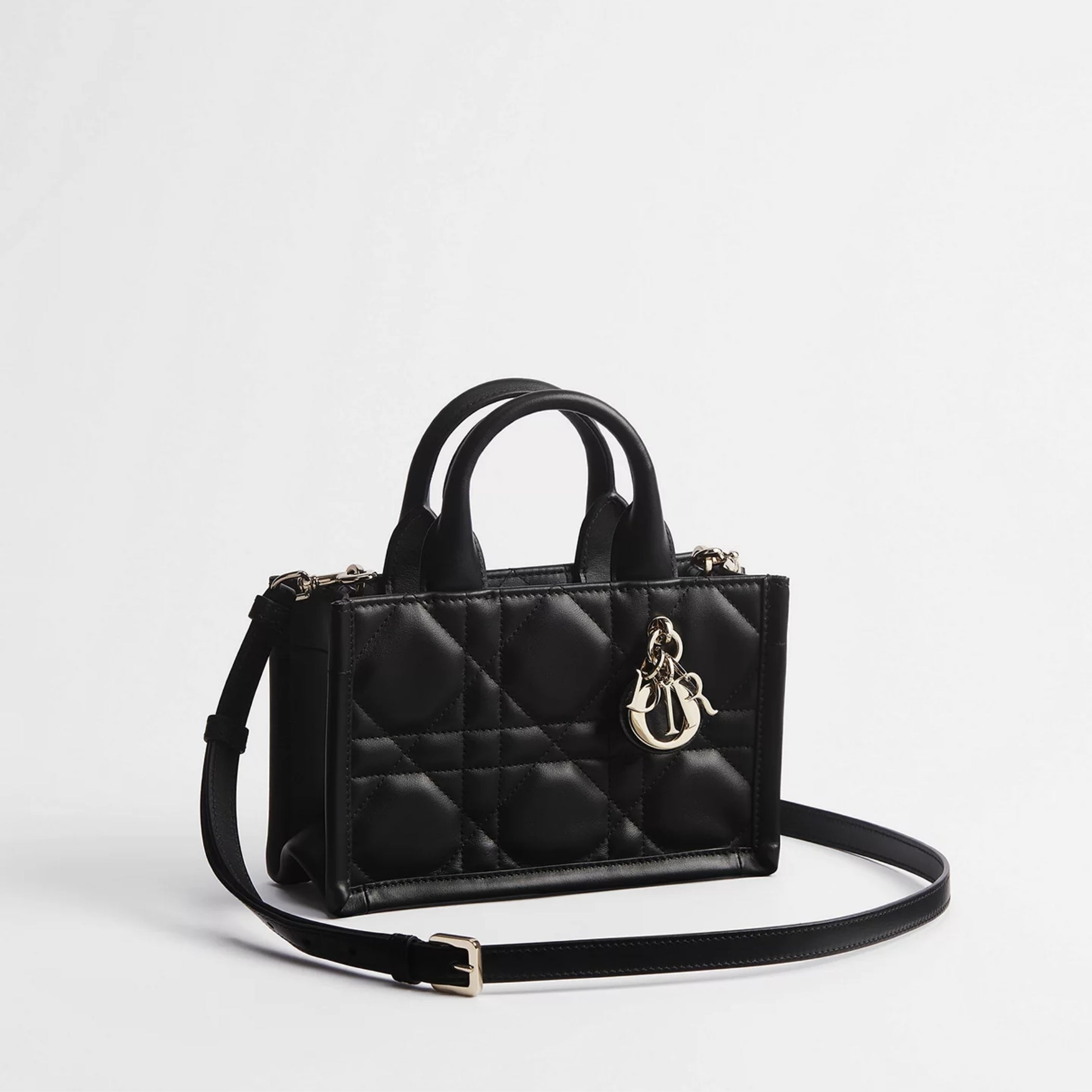 Mini Dior Book Tote