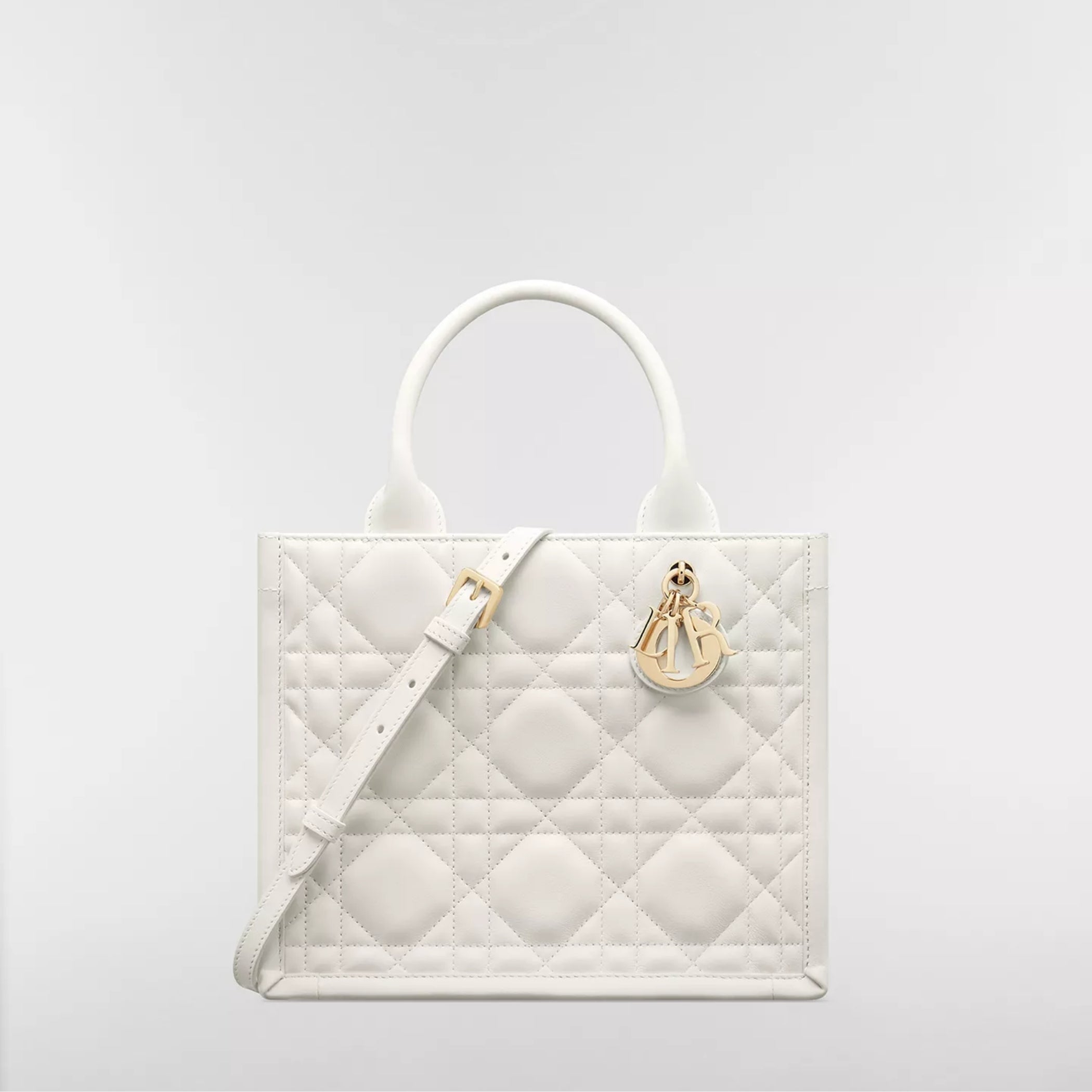 Small Dior Book Tote