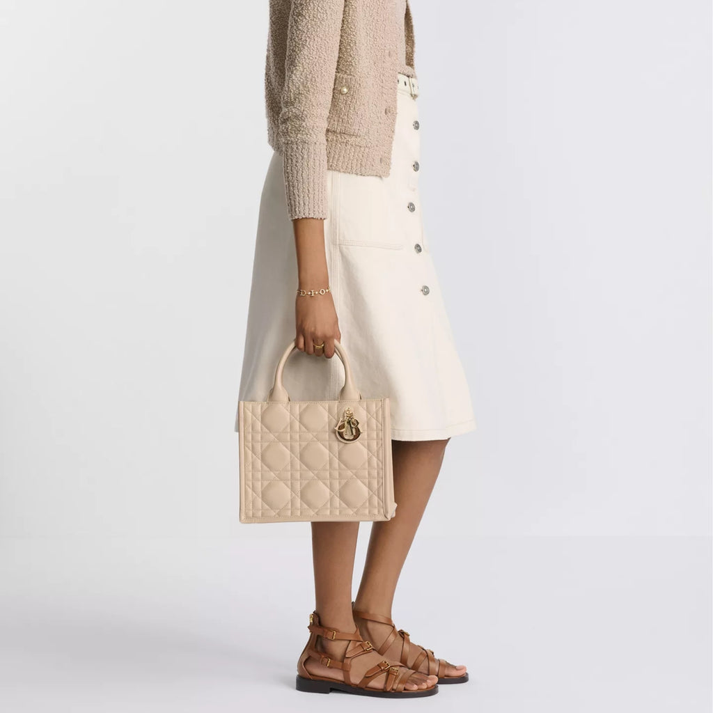 Small Dior Book Tote