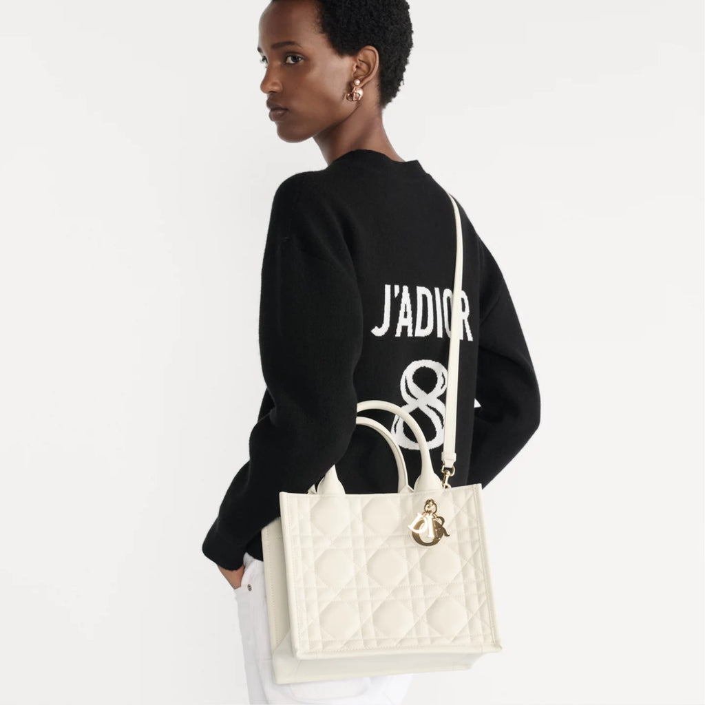 Small Dior Book Tote