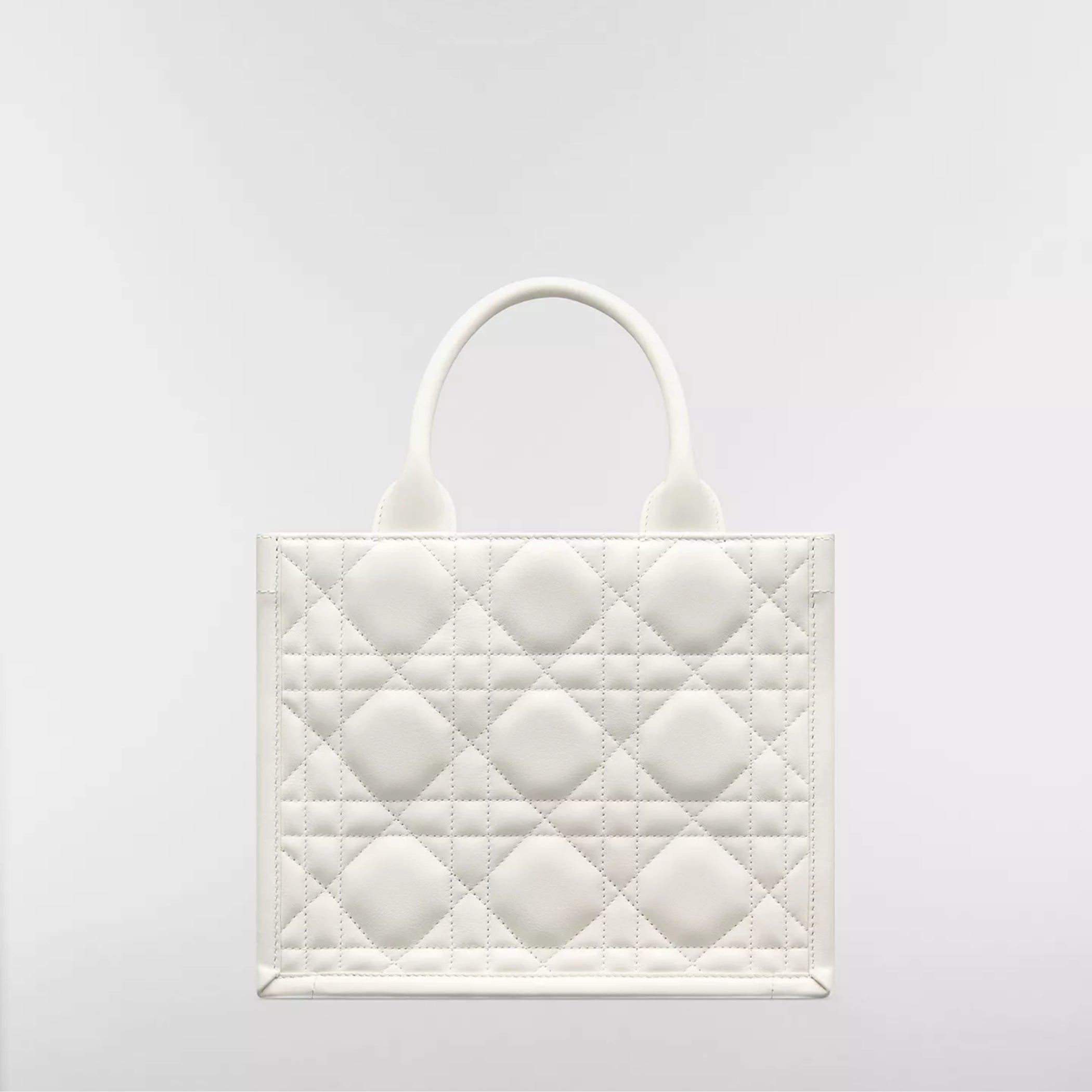 Small Dior Book Tote