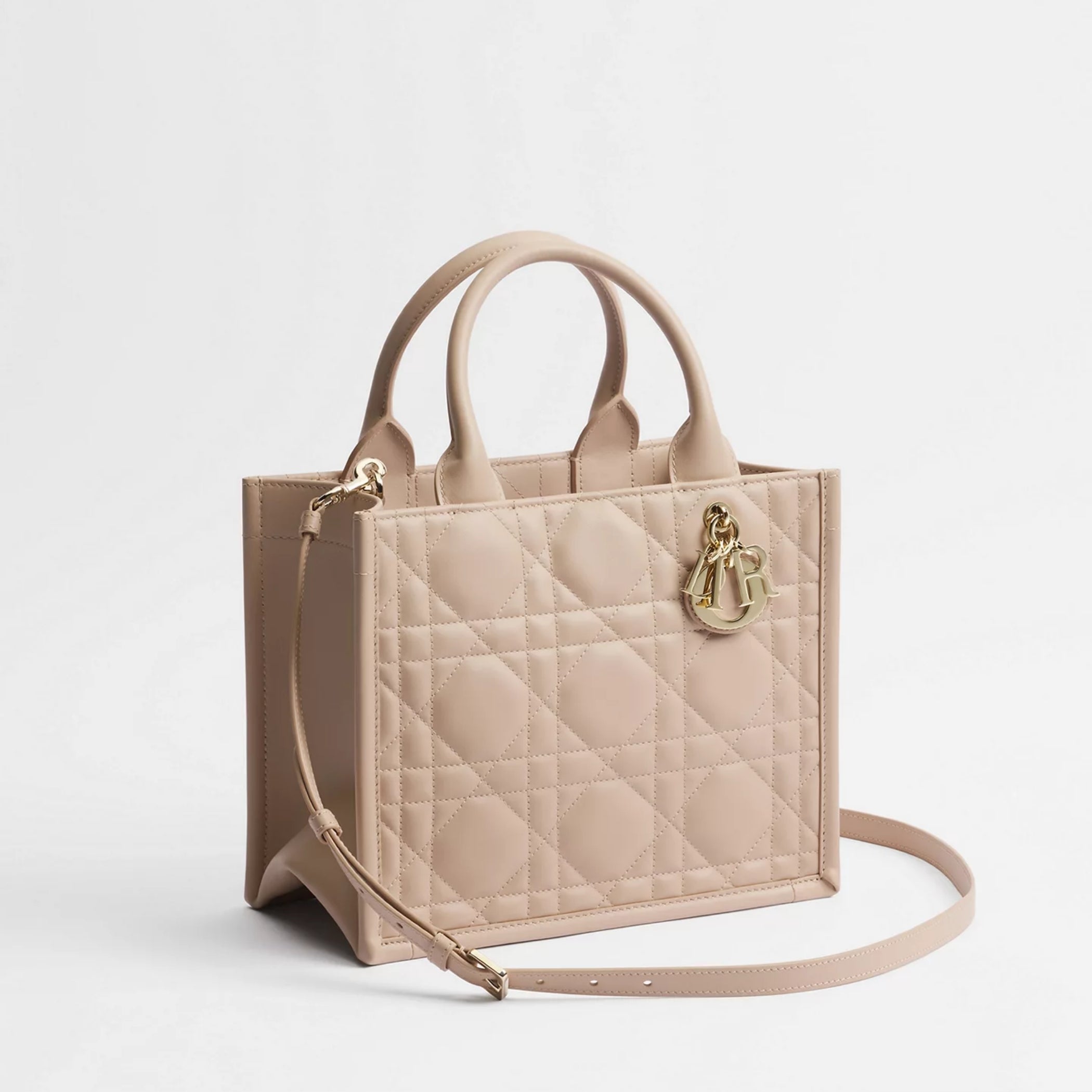 Small Dior Book Tote
