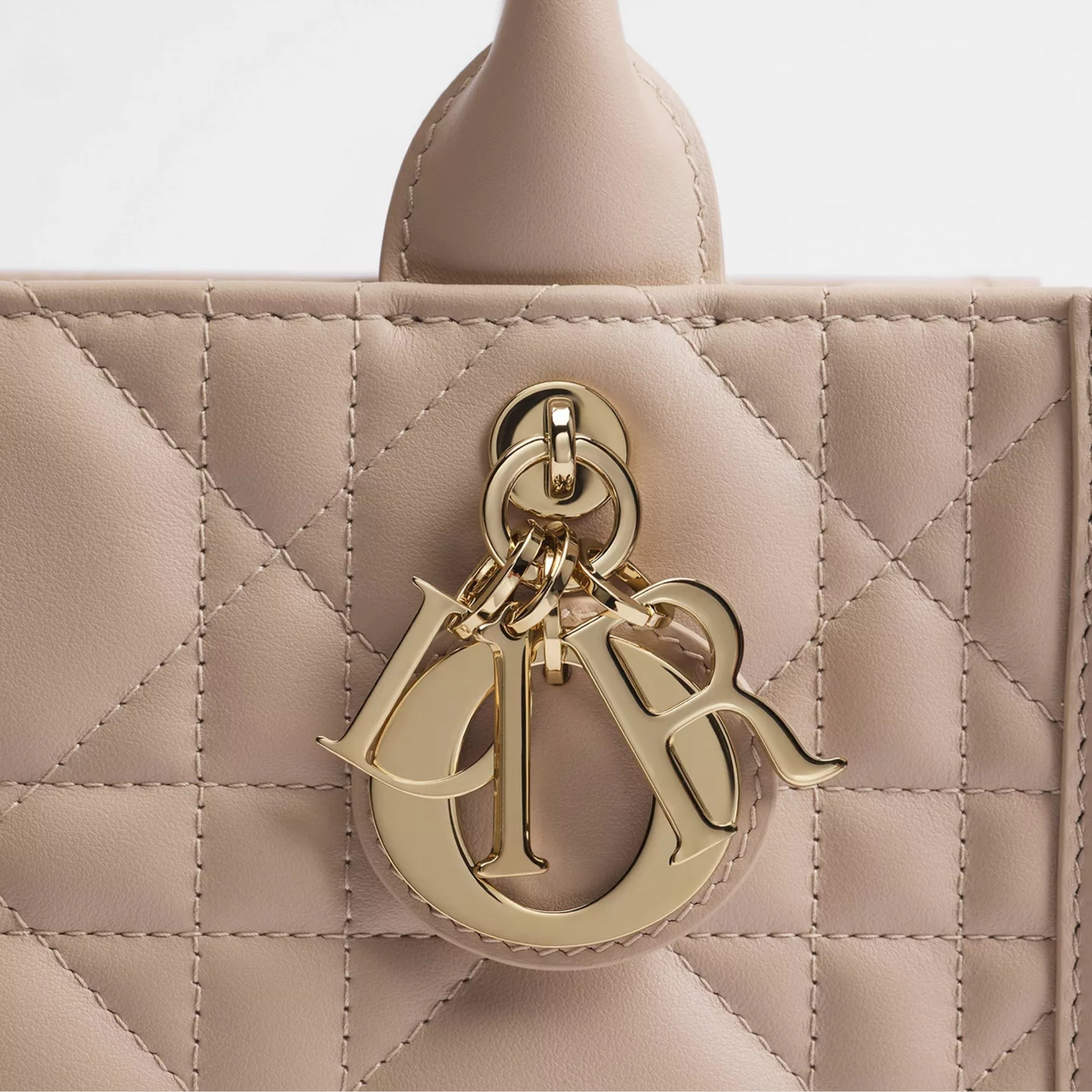 Small Dior Book Tote