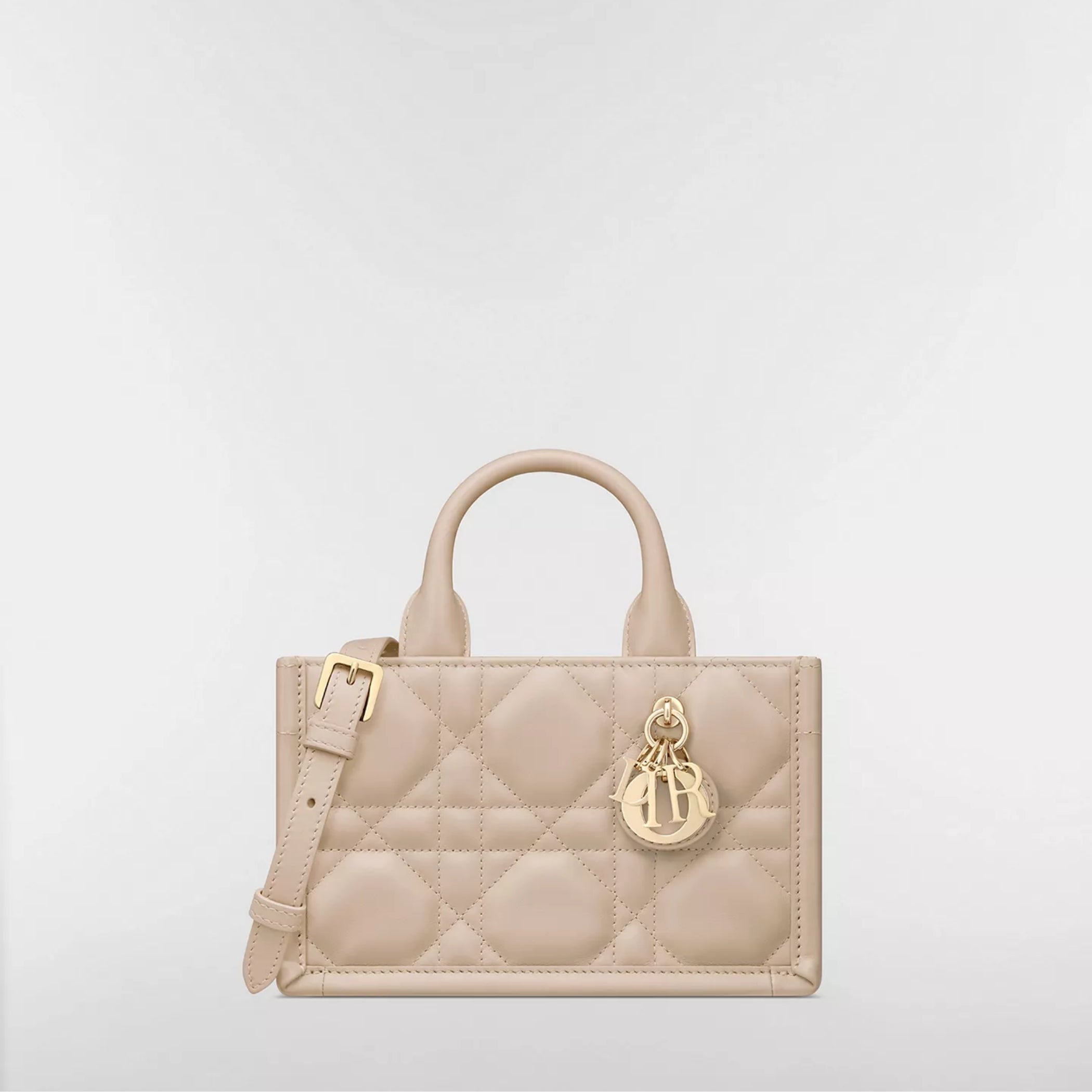 Mini Dior Book Tote