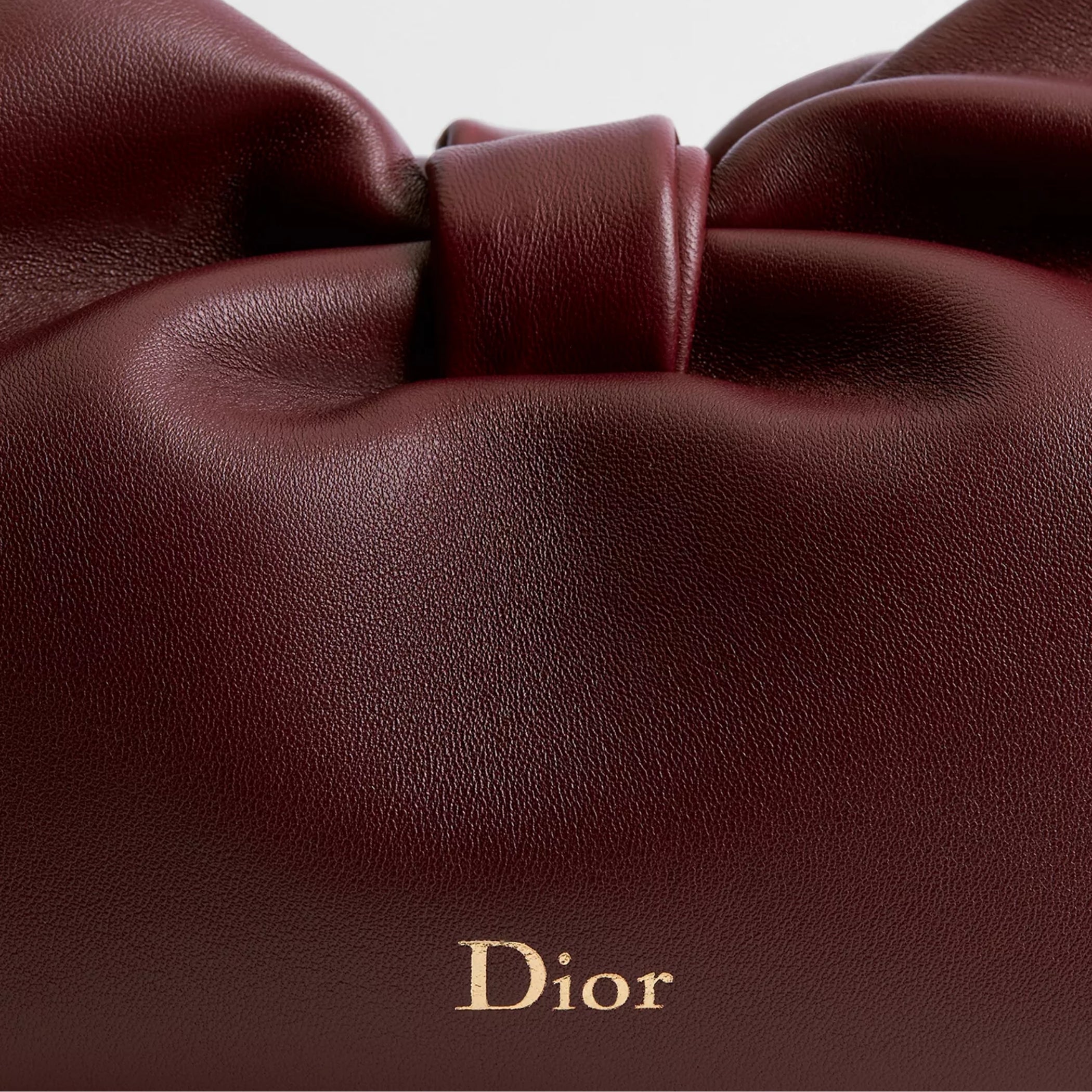 Dior Or Medium Dior Bow Bag Hermitage Red Lambskin