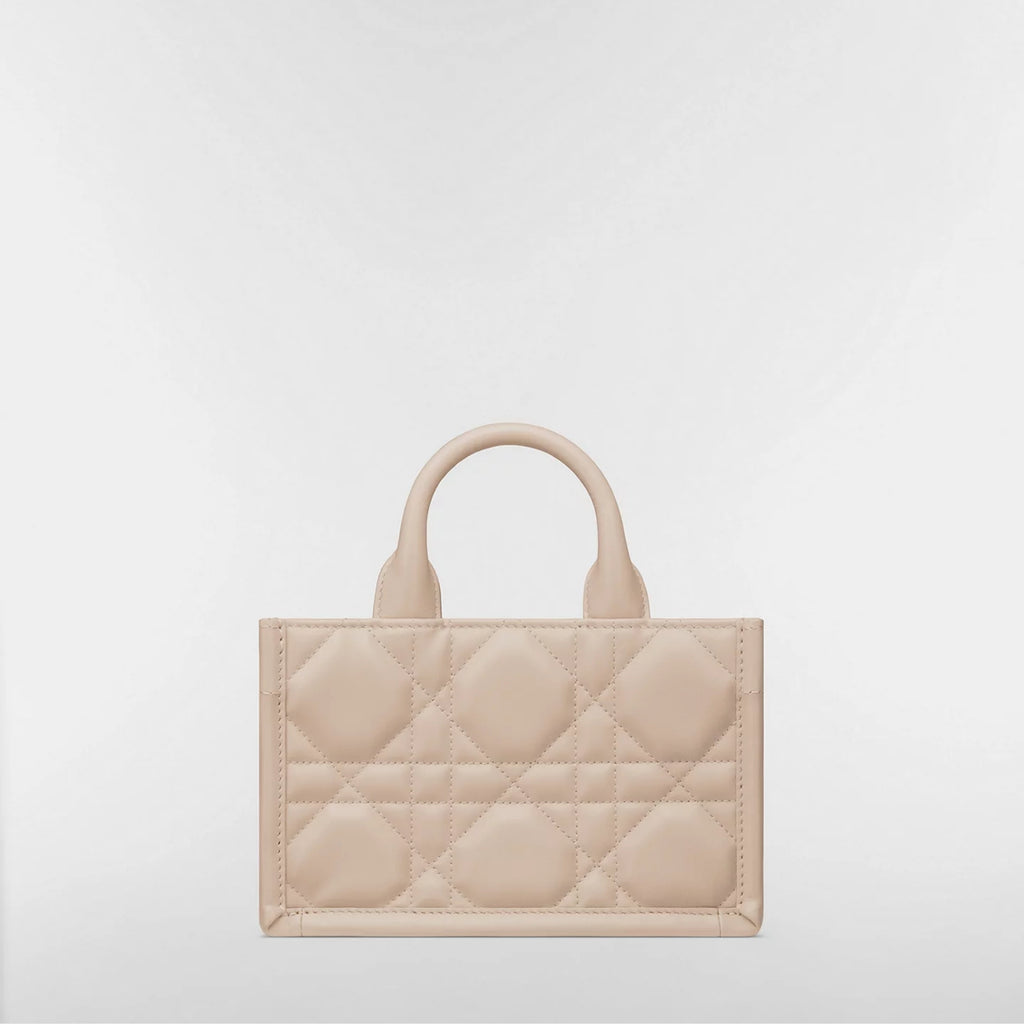 Mini Dior Book Tote