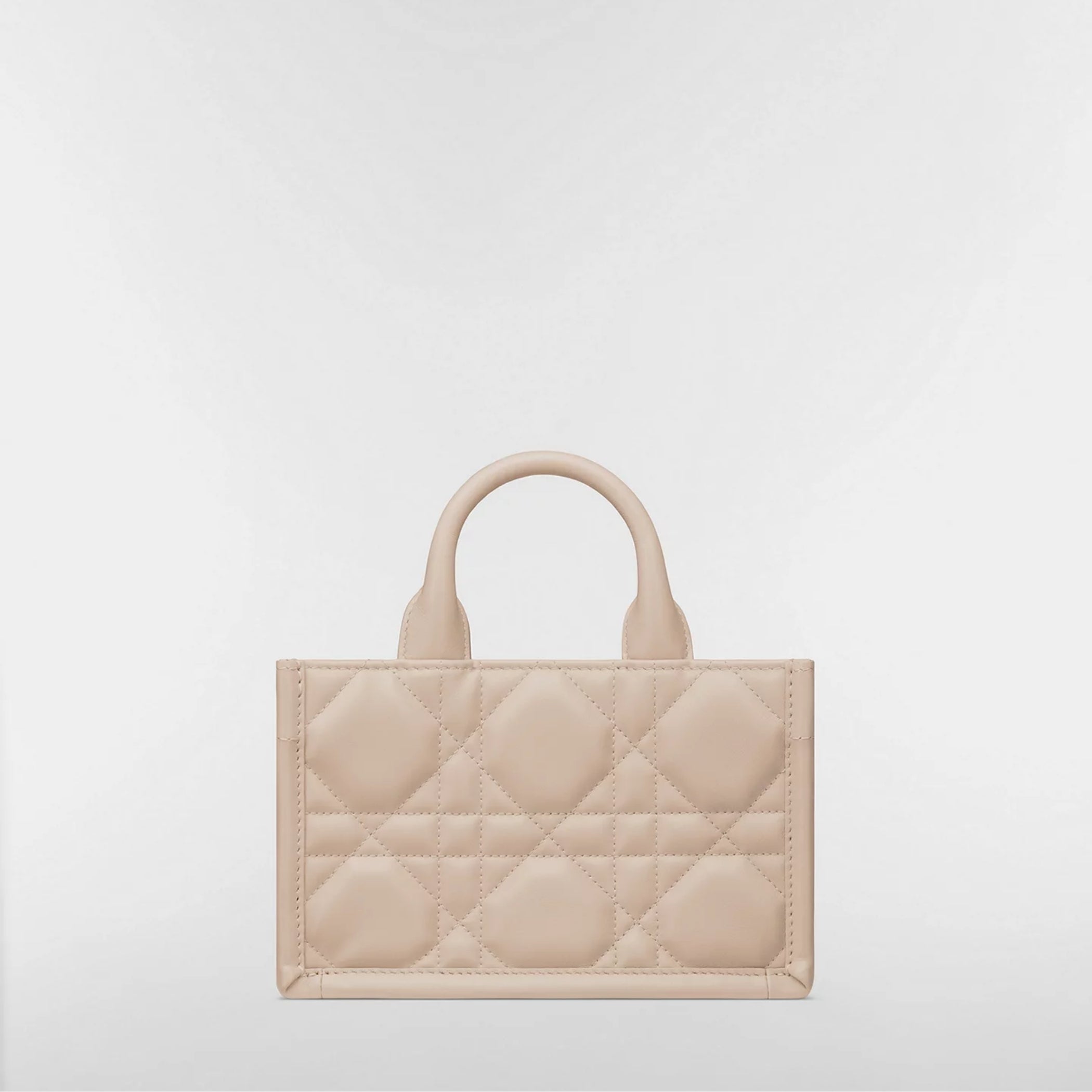 Mini Dior Book Tote