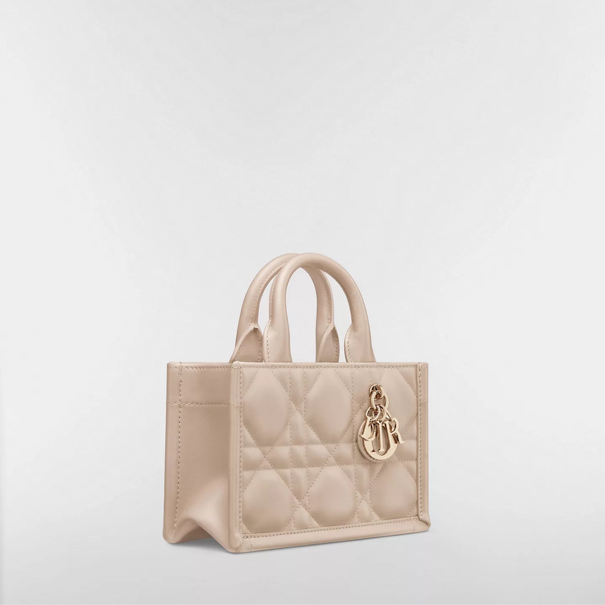 Mini Dior Book Tote