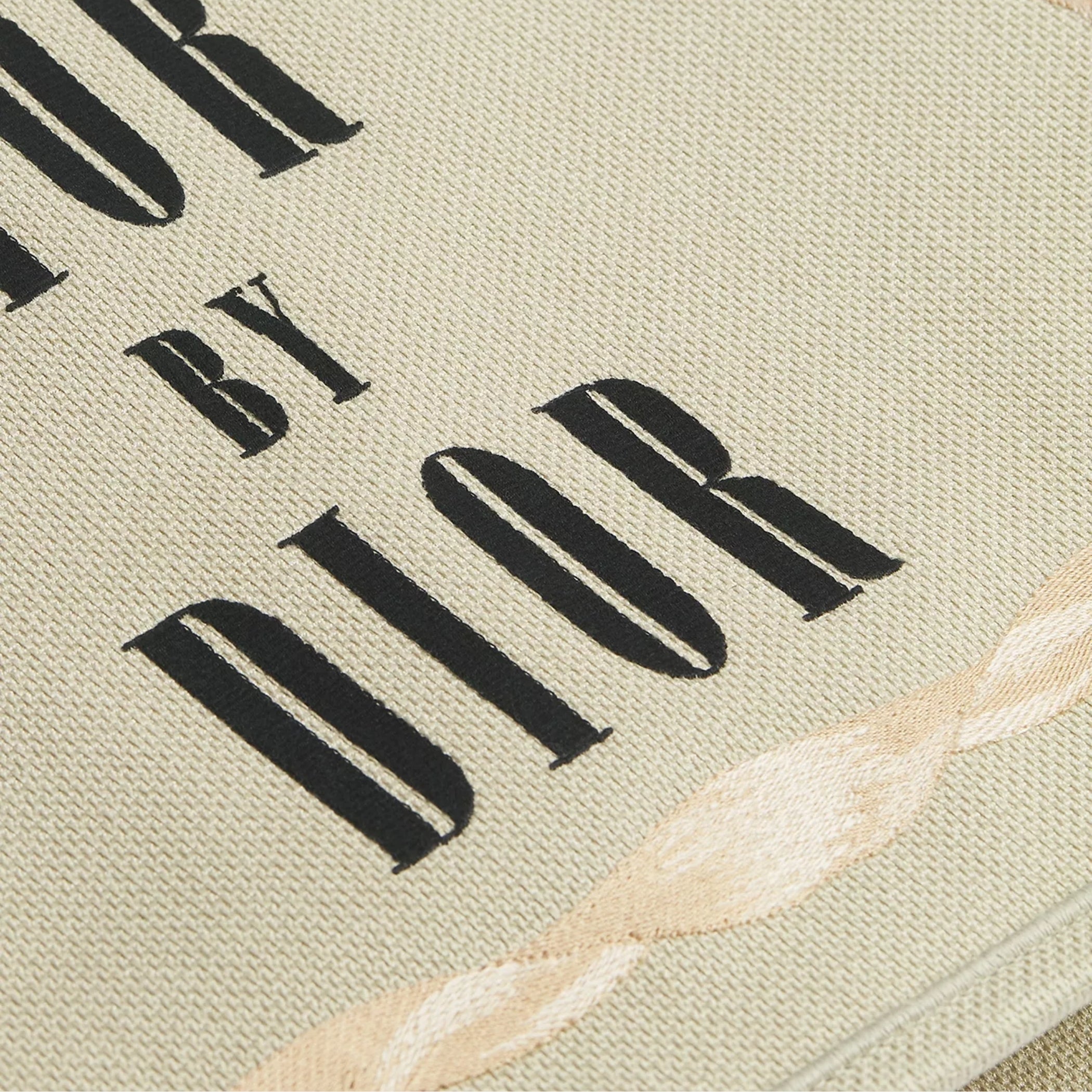 Large Dior Book Tote
