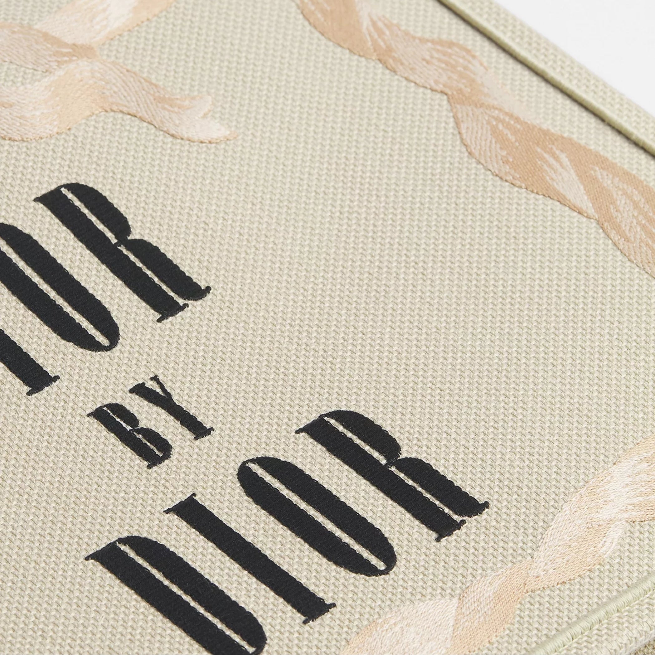 Medium Dior Book Tote with Strap