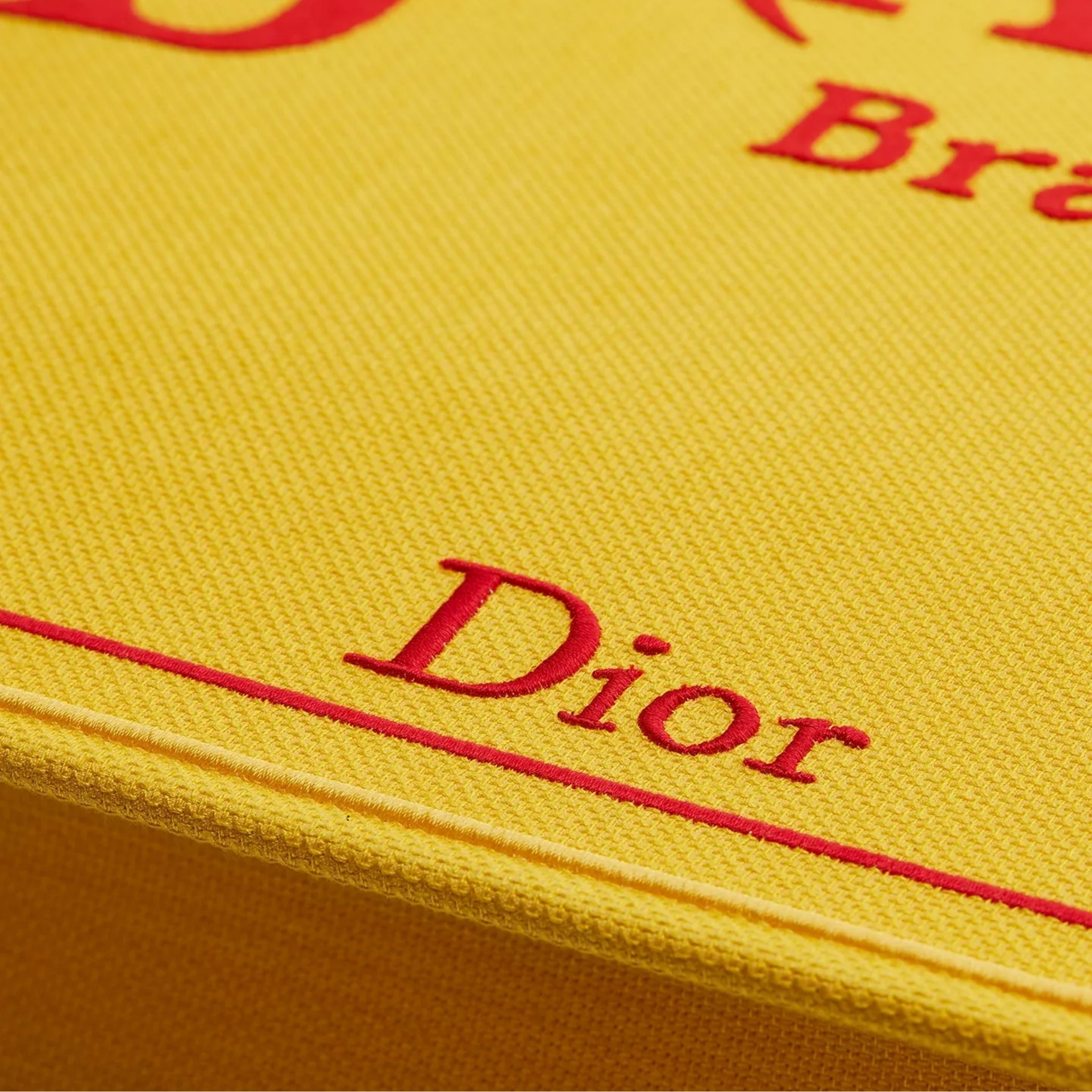 Large Dior Book Tote