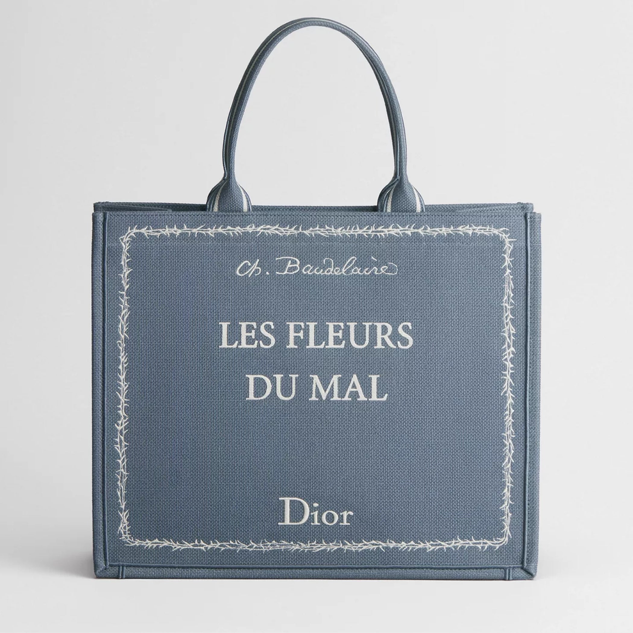 Large Dior Book Tote