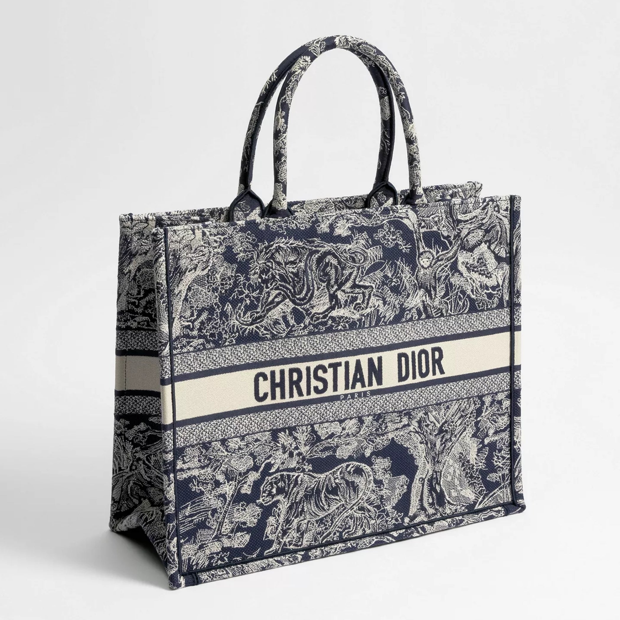 Large Dior Book Tote