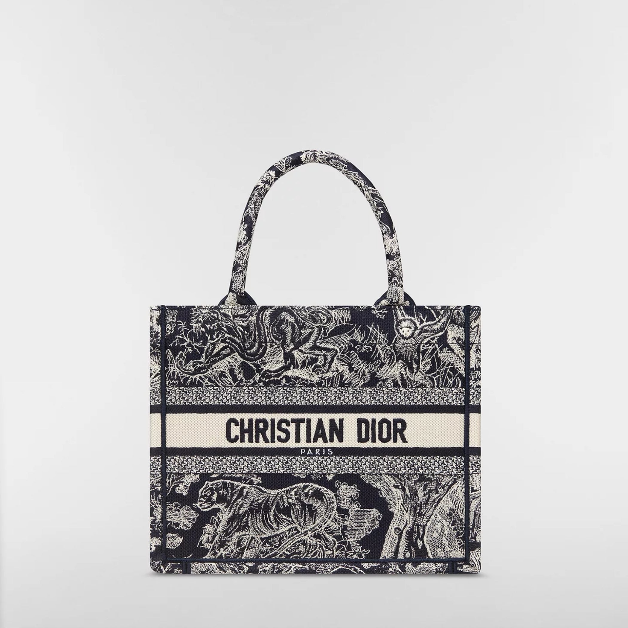 Small Dior Book Tote