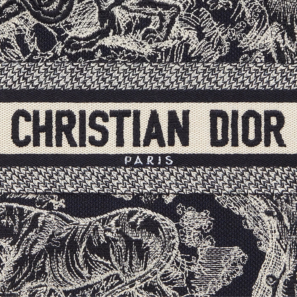 Small Dior Book Tote