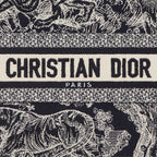 Small Dior Book Tote