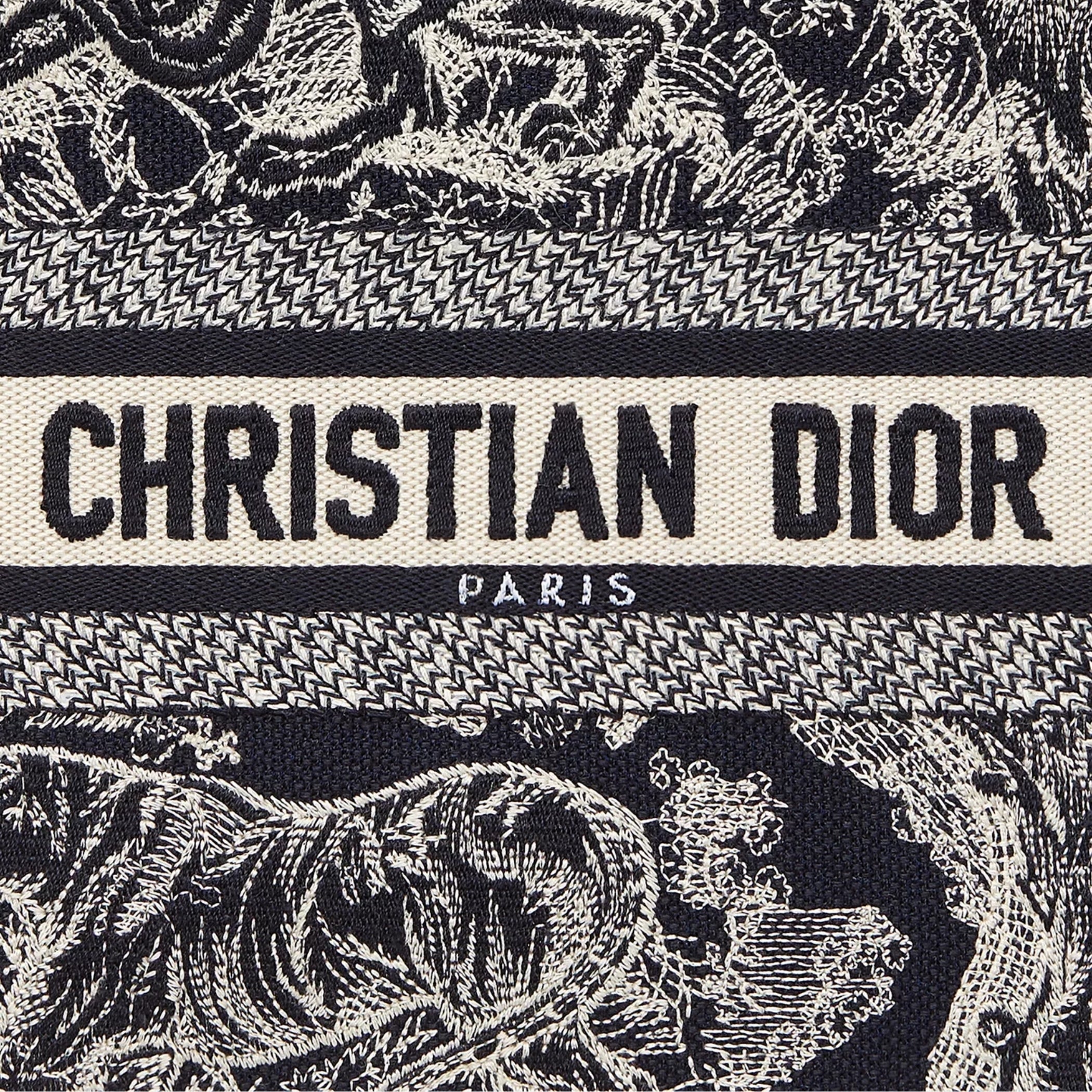 Small Dior Book Tote