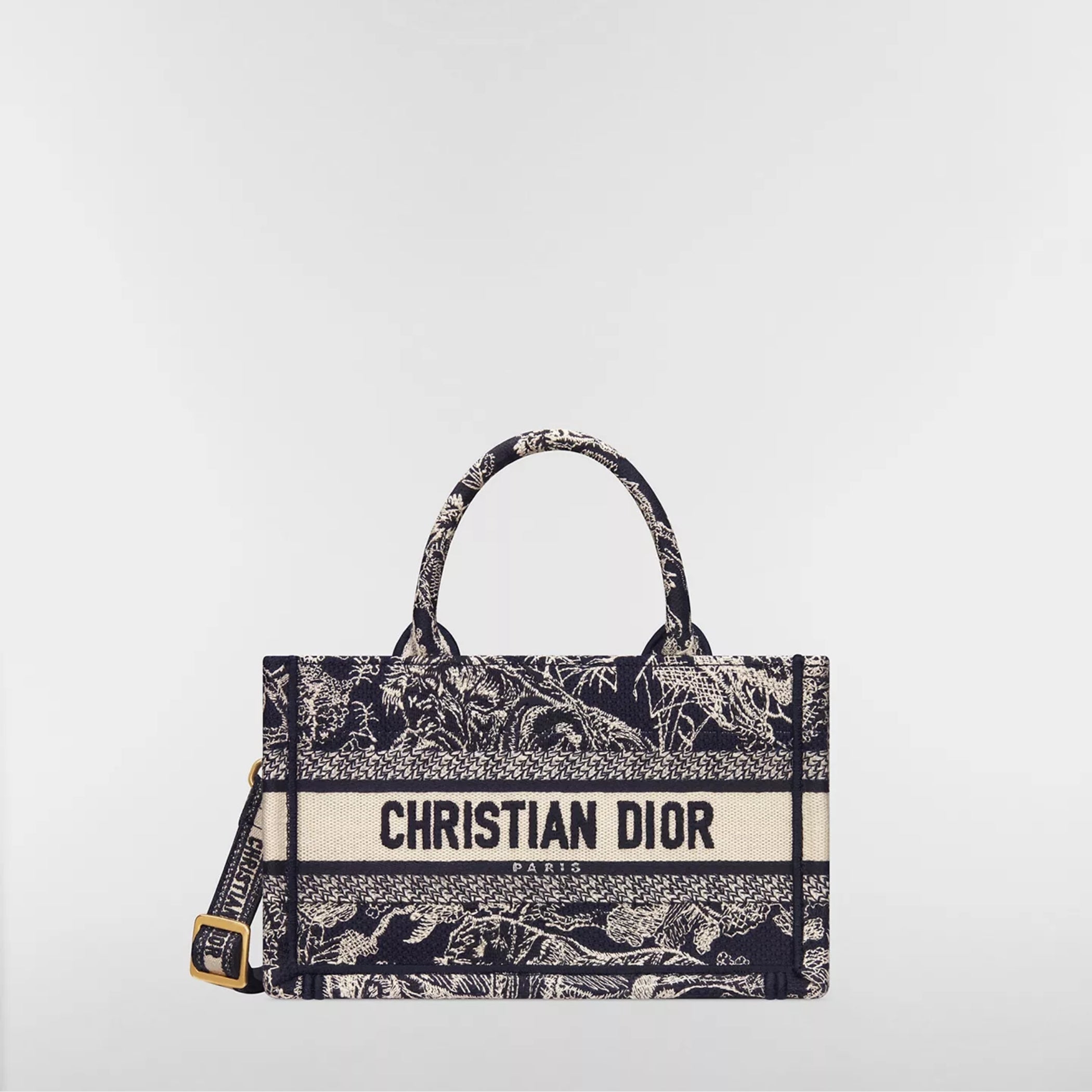 Mini Dior Book Tote
