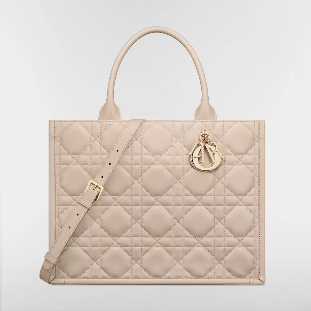 Medium Dior Book Tote