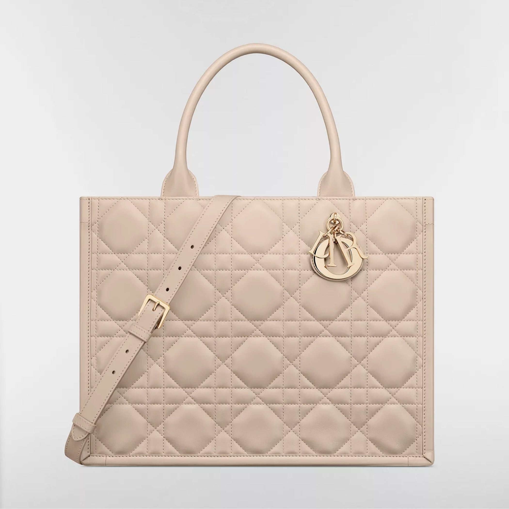 Medium Dior Book Tote
