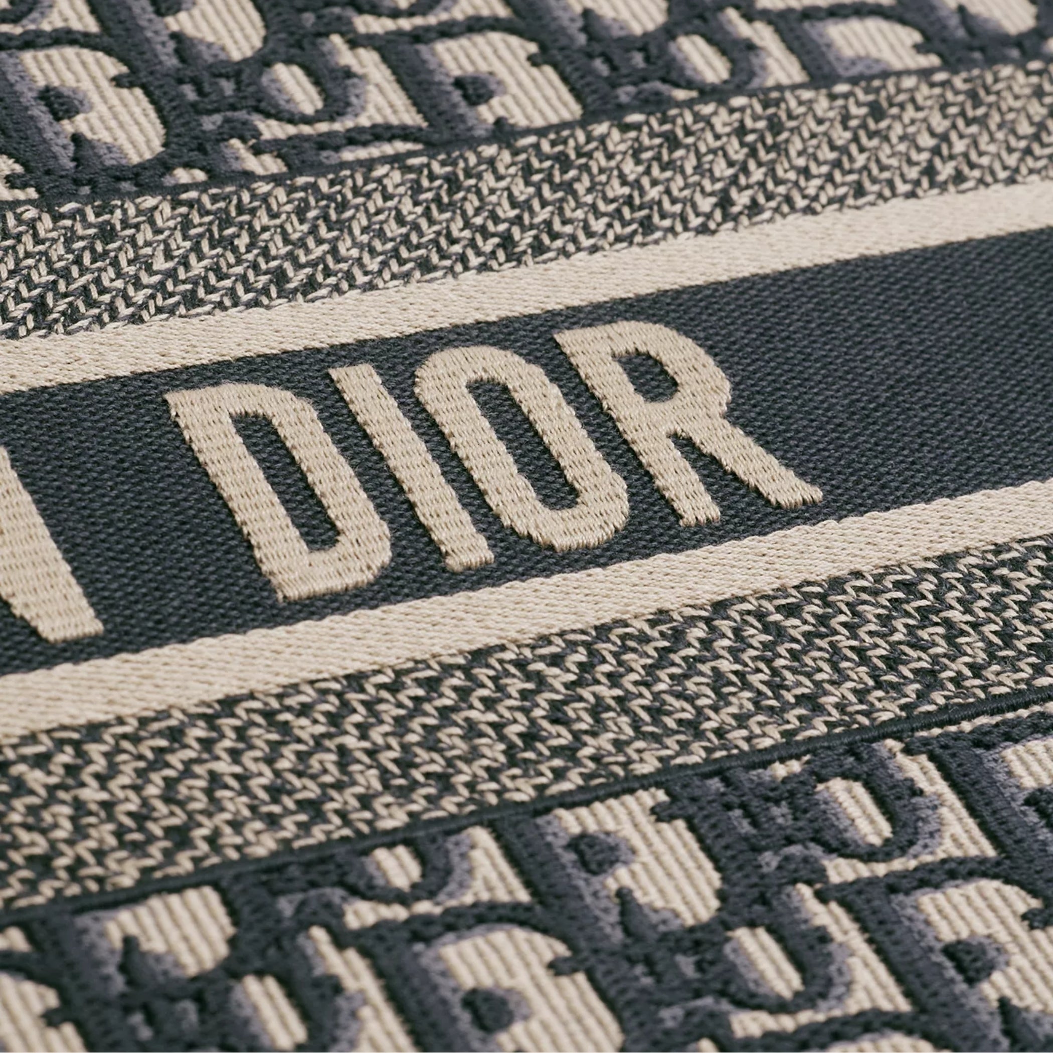 Large Dior Book Tote
