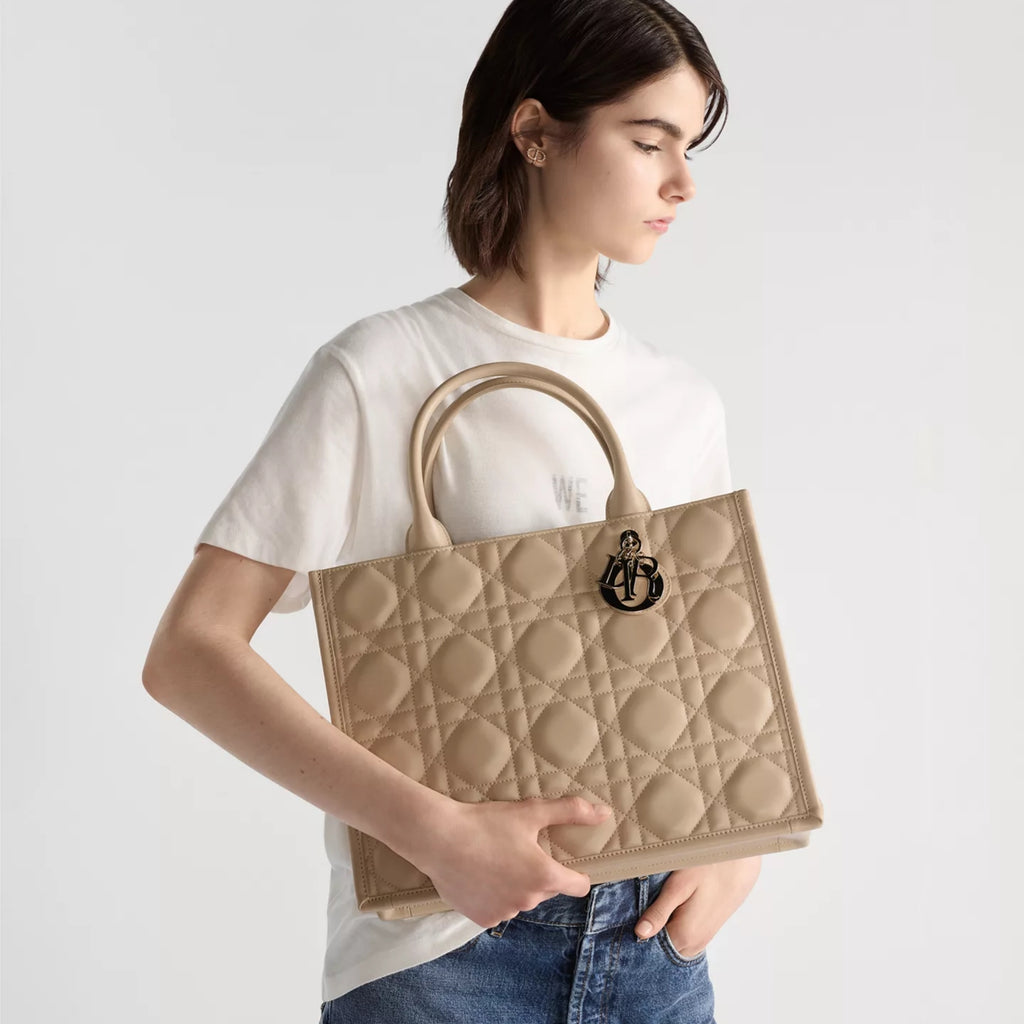 Medium Dior Book Tote