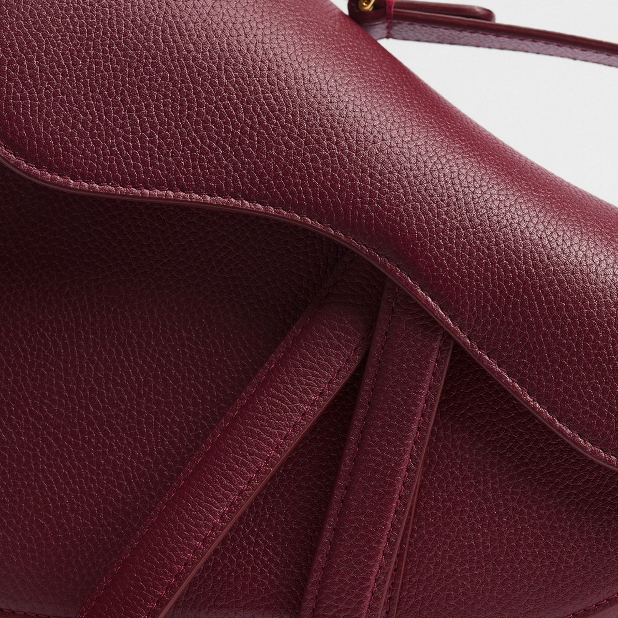 Dior Or Small Saddle Bag with Strap