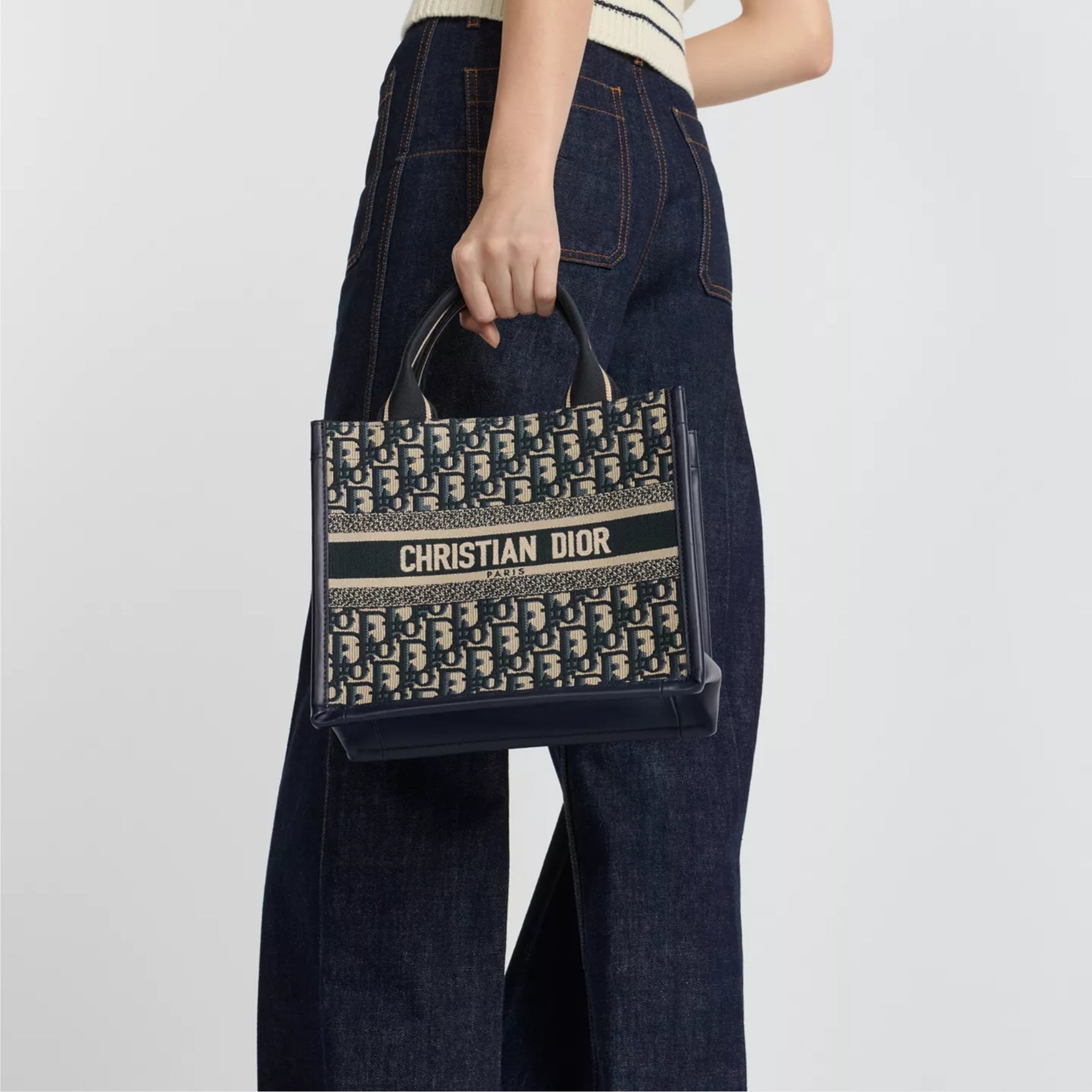 Small Dior Book Tote