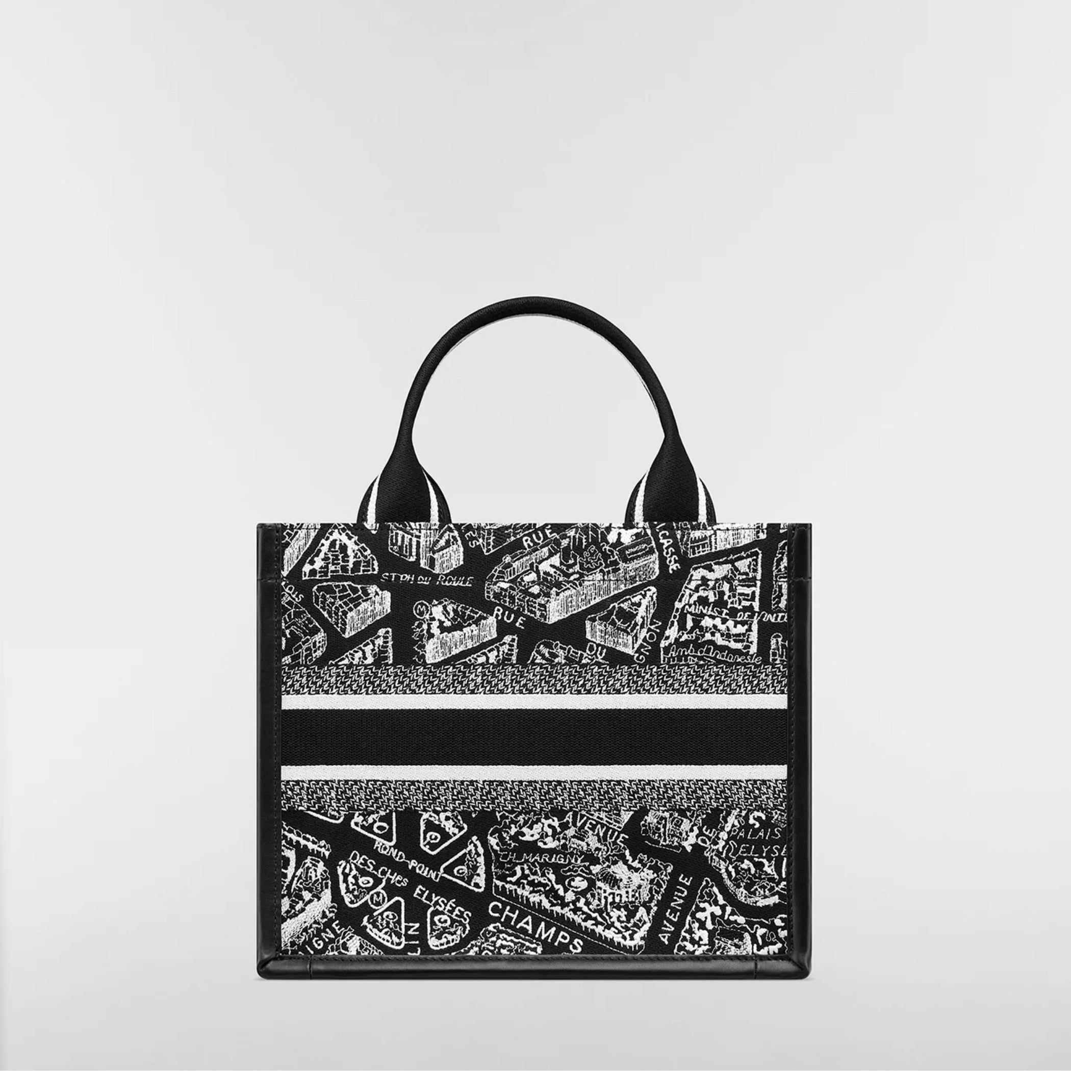 Small Dior Book Tote