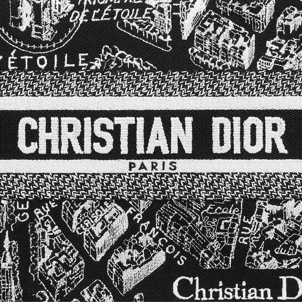 Small Dior Book Tote