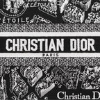Small Dior Book Tote