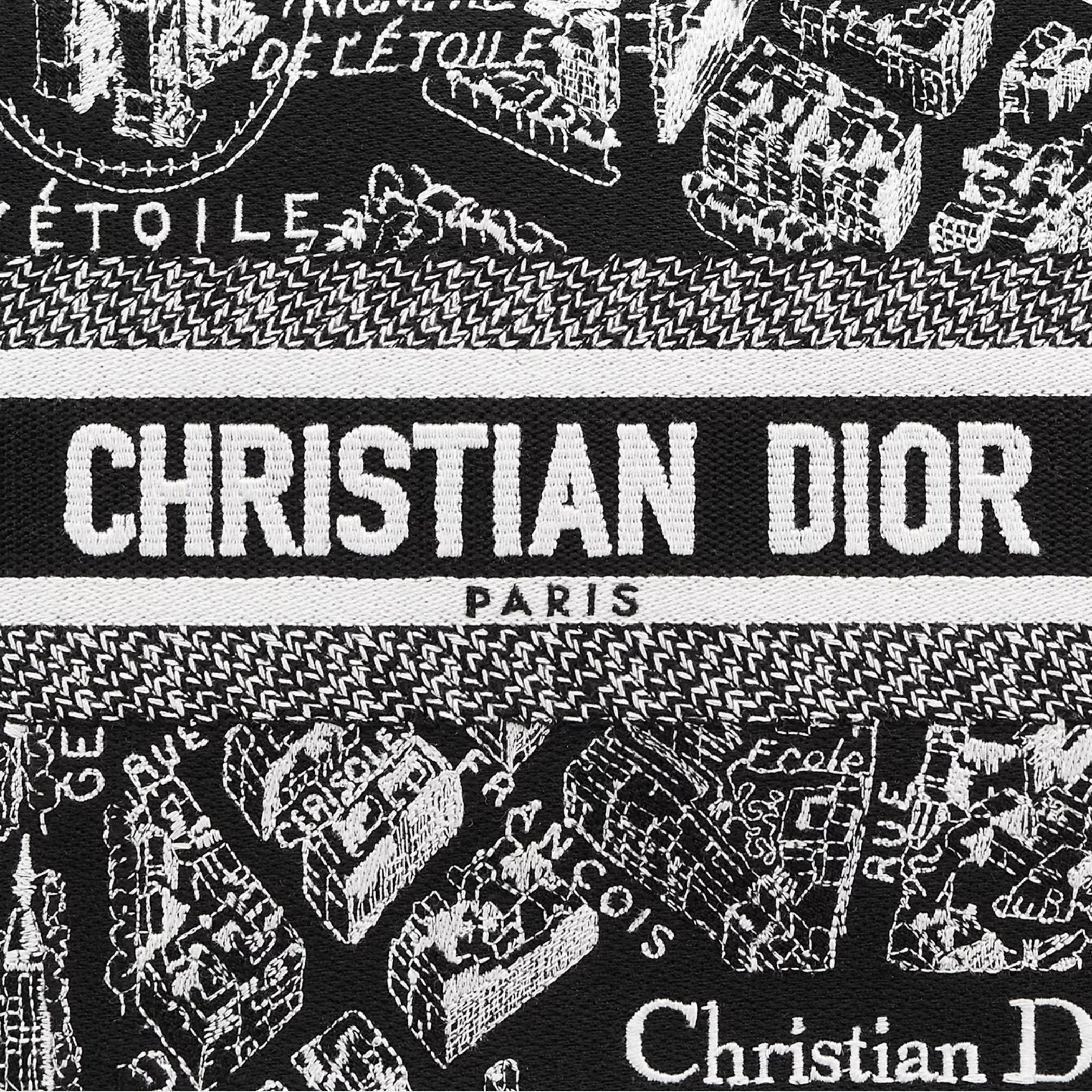 Small Dior Book Tote