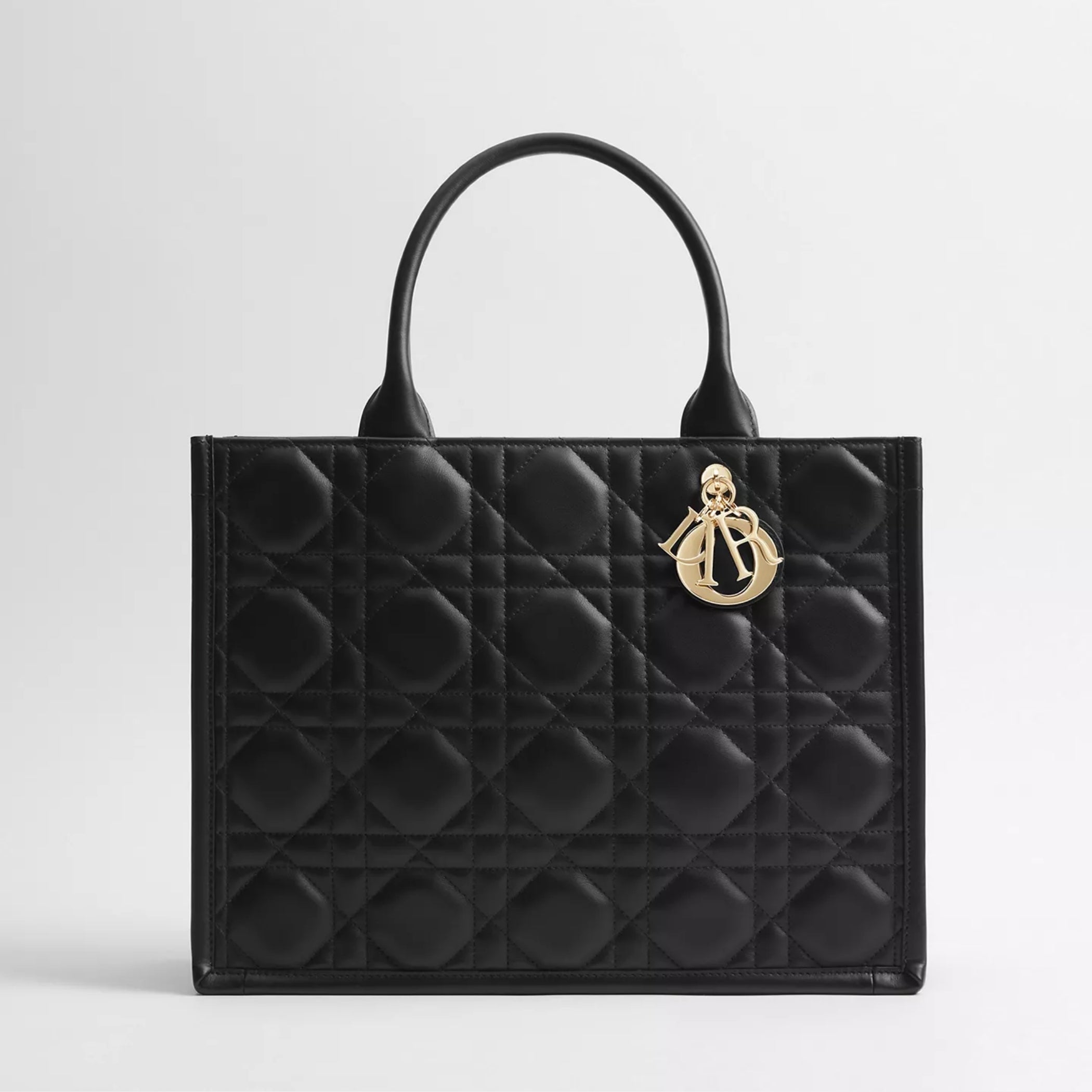 Medium Dior Book Tote