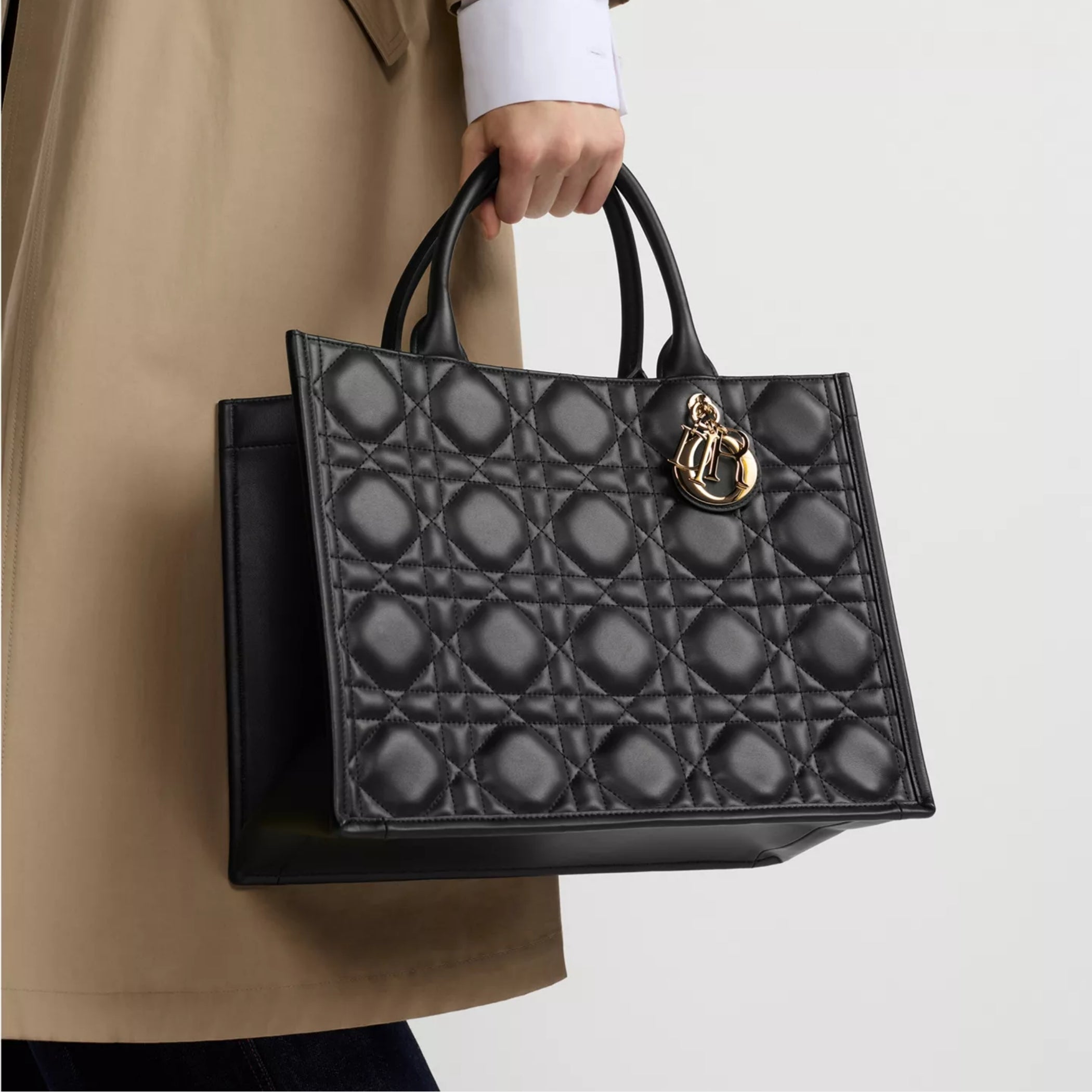 Medium Dior Book Tote