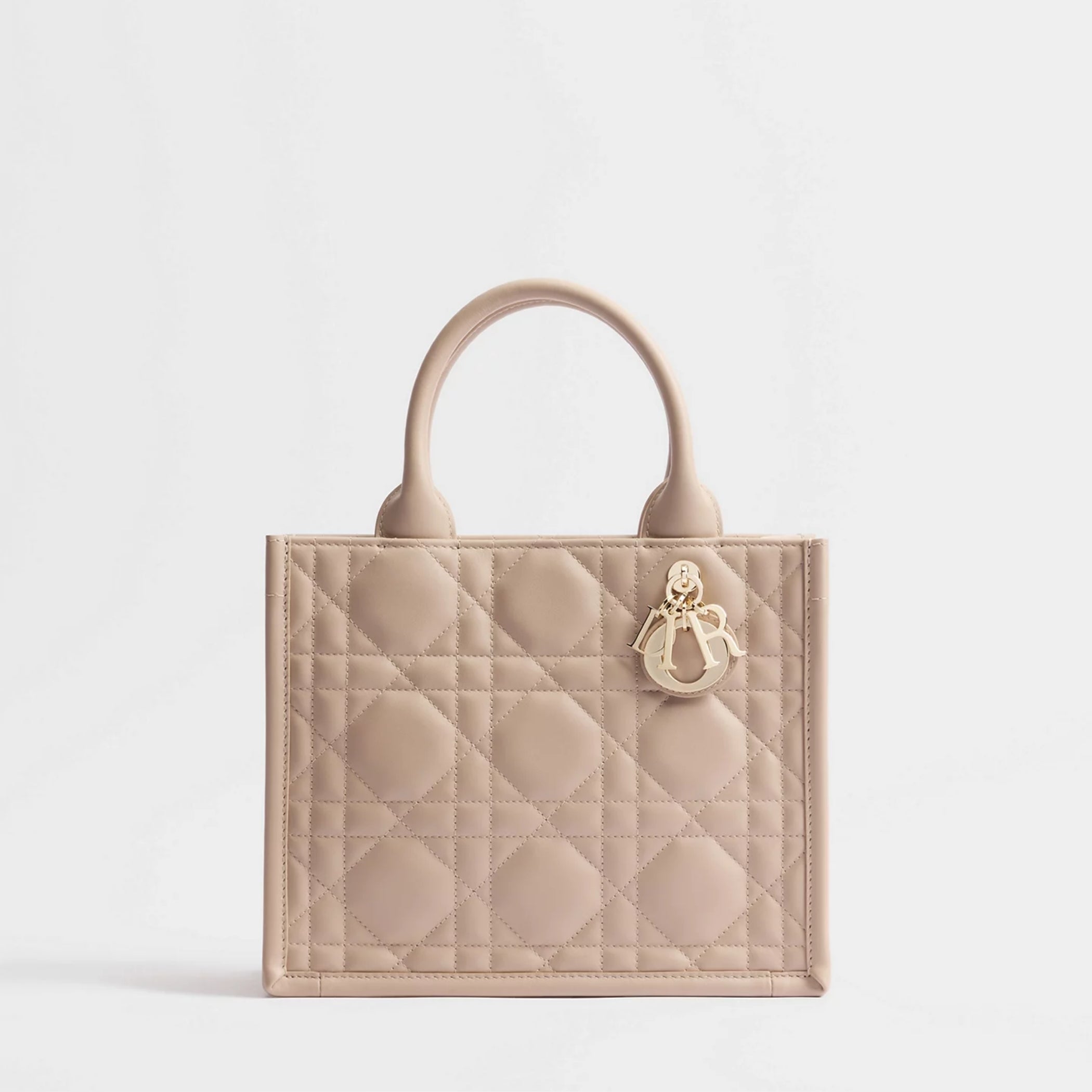 Small Dior Book Tote